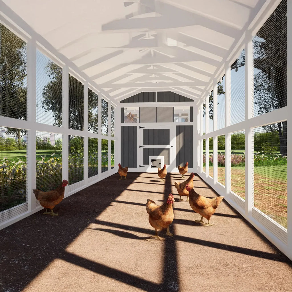 8ftx32ft Chicken Coop Plans with 24ft Run, DIY Hen House