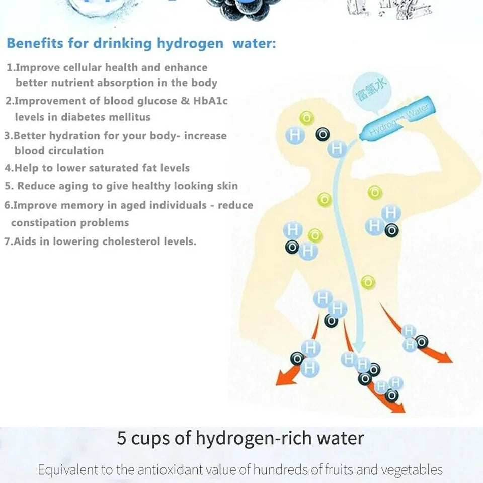 2L Electric Hydrogen Rich, Ionizer Water Machine