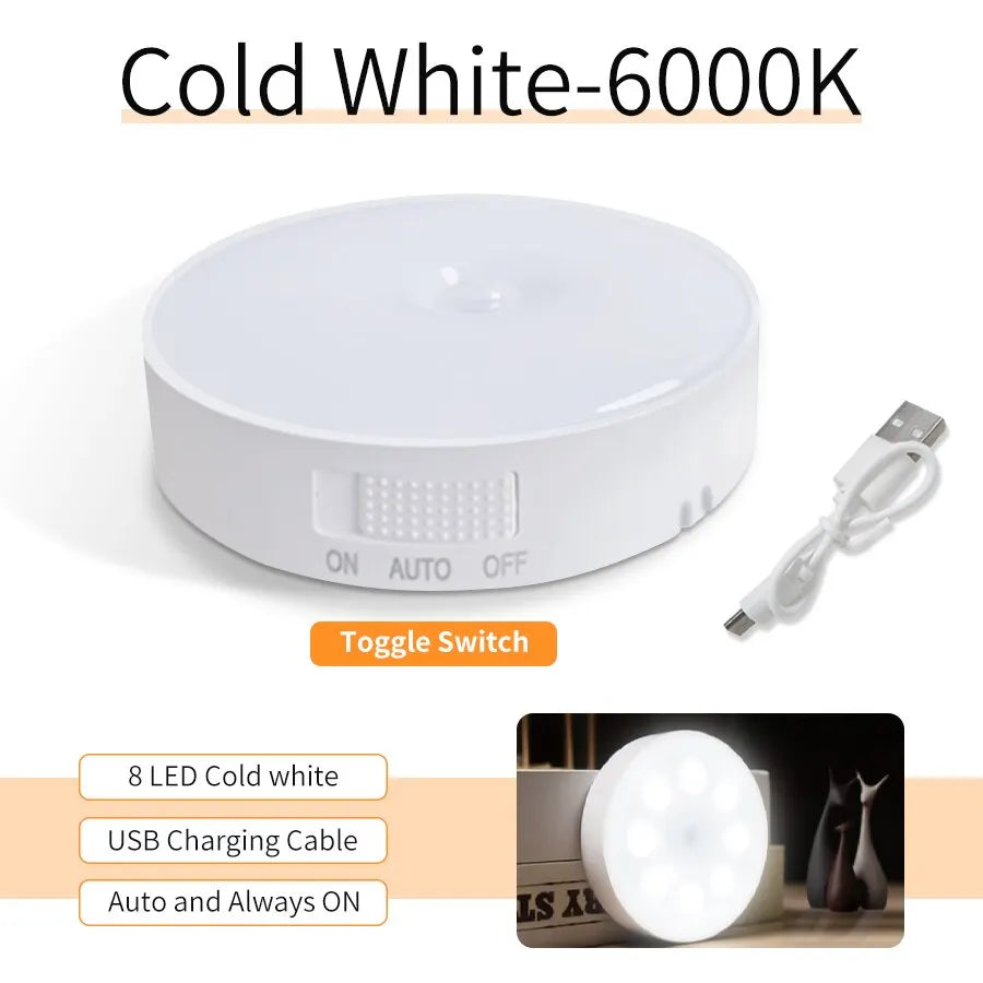 Rechargeable LED Lights Motion Sensor Night Light