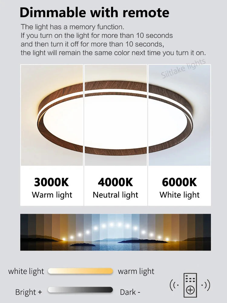 LED modern simple room light, high-end, ultra-thin