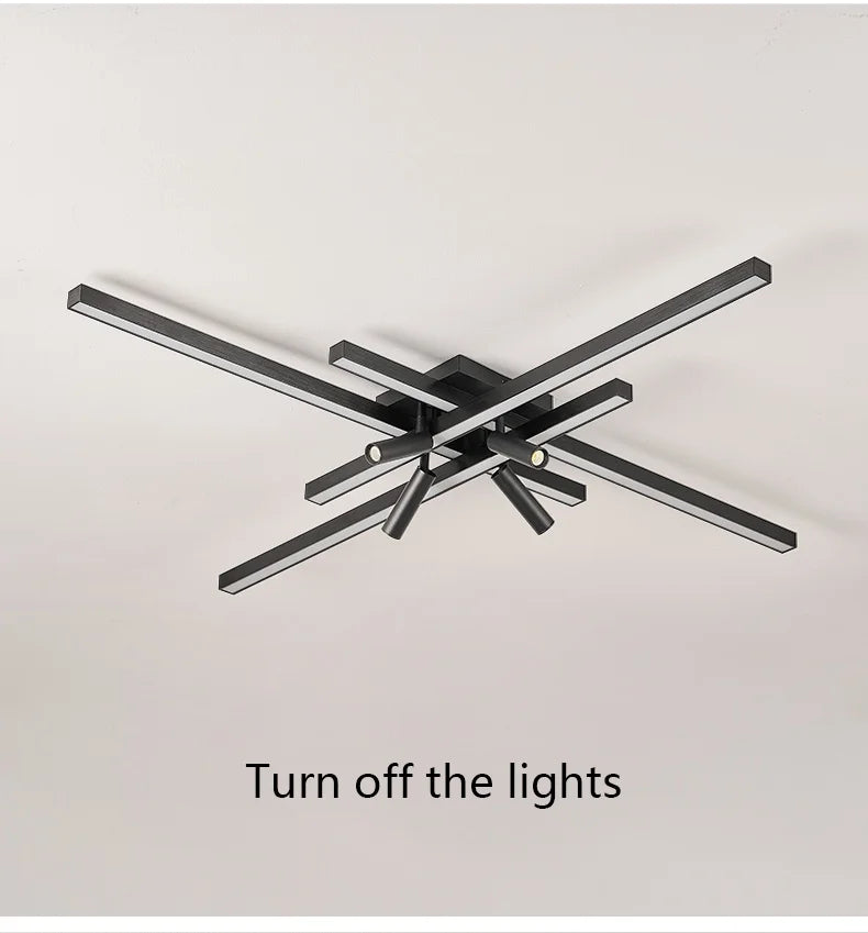 Ceiling Lights Long Line lamps, w/wo Remote