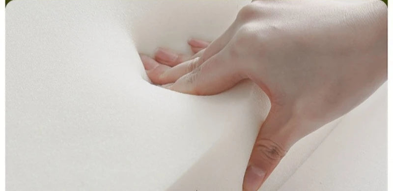 Single Pullout Sofa Bed