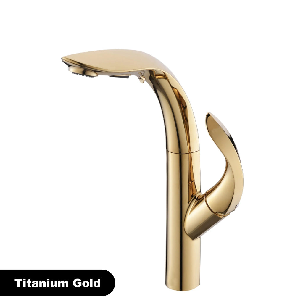 gold kitchen faucet, pull-out, 2 function Sprayer