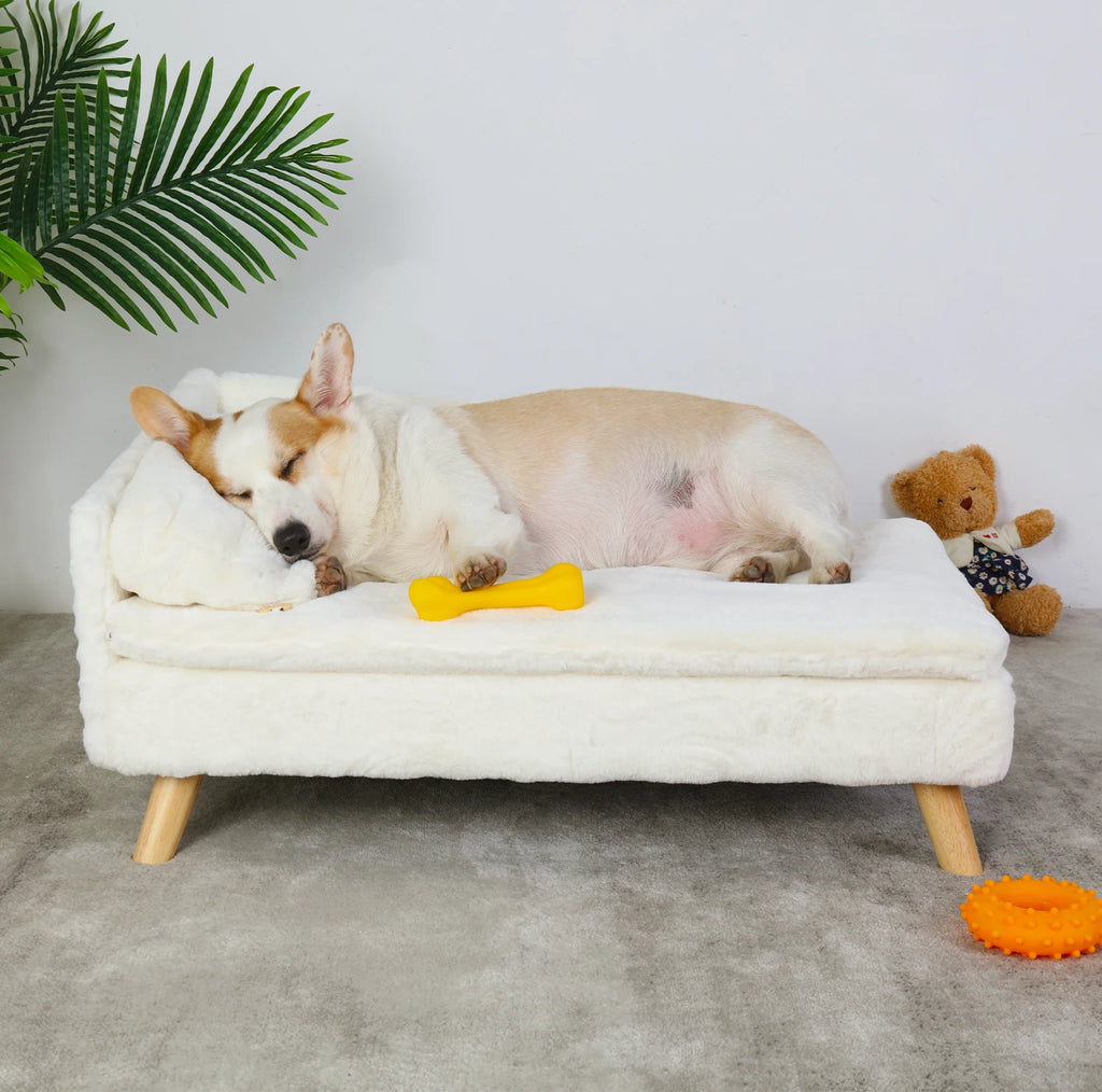 Elevated Pet Bed, Waterproof Sofa Bed, Small