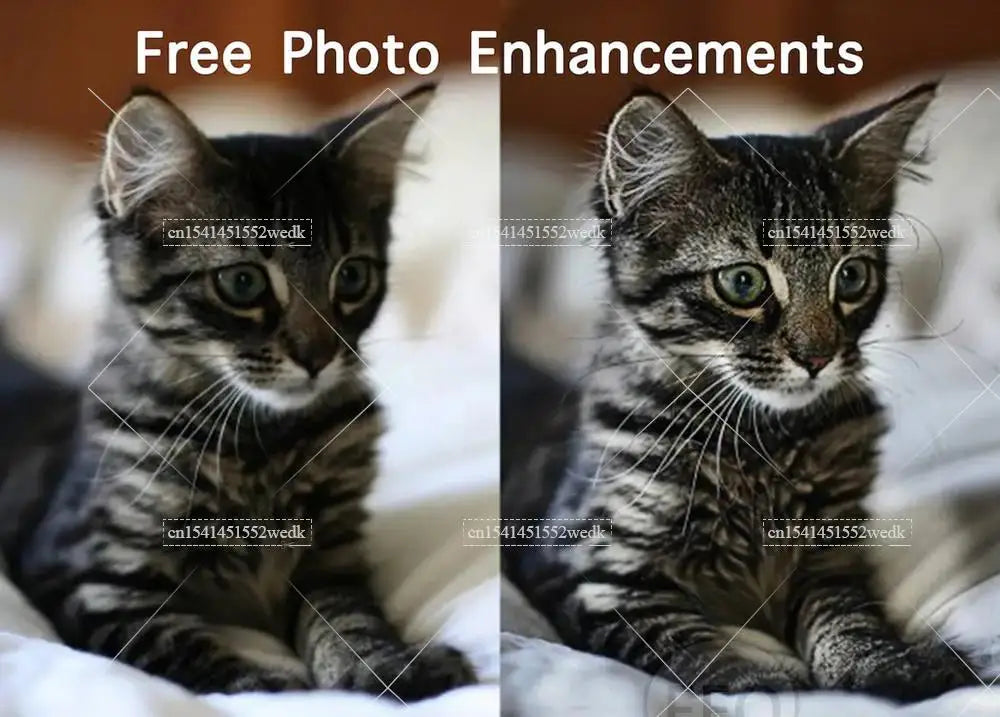 Egyptian Mythology Tapestries, for Room Aesthetic