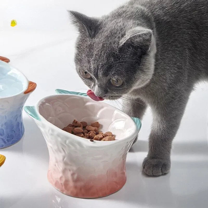 Cat/Dog Pet Feeder Dish, Ceramic Elevated Dishes