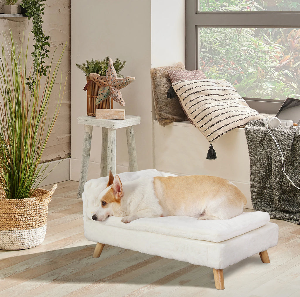 Elevated Pet Bed, Waterproof Sofa Bed, Small