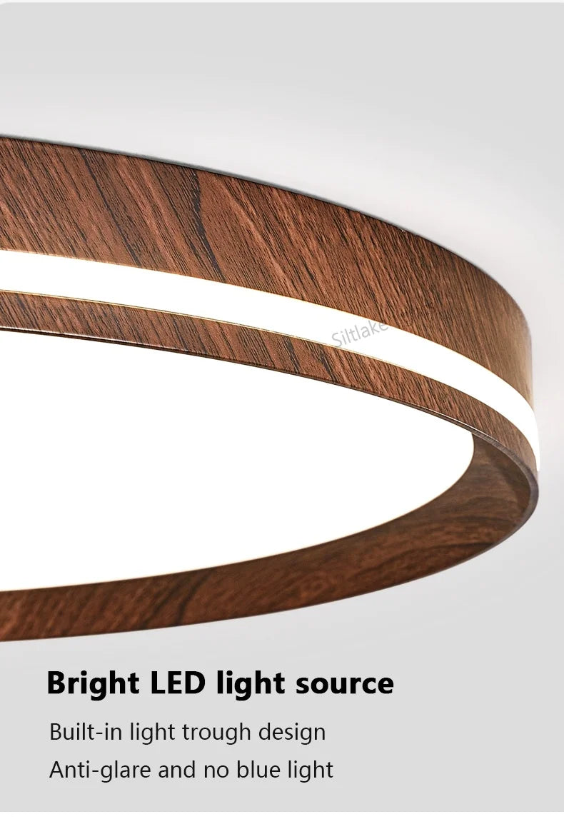 LED modern simple room light, high-end, ultra-thin