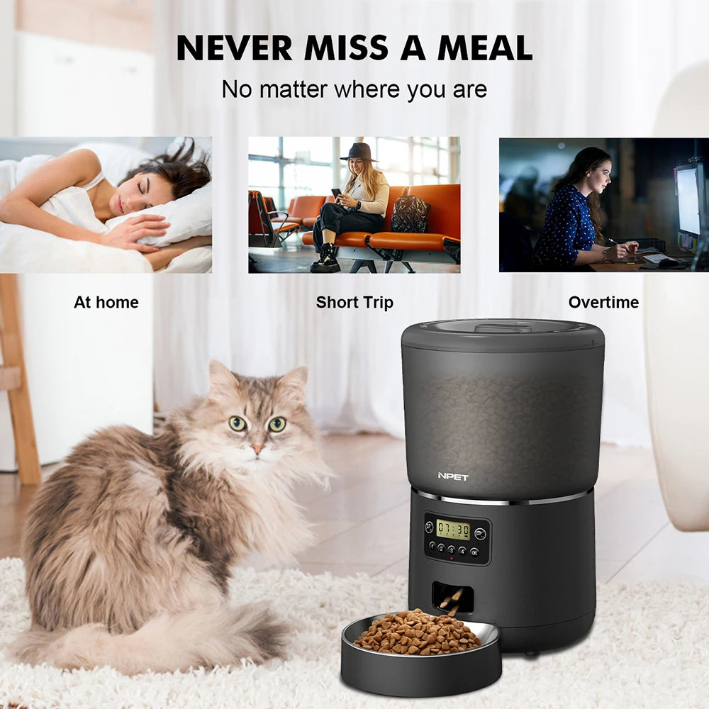 smart pet feeder, cats, dogs, stainless steel bowl