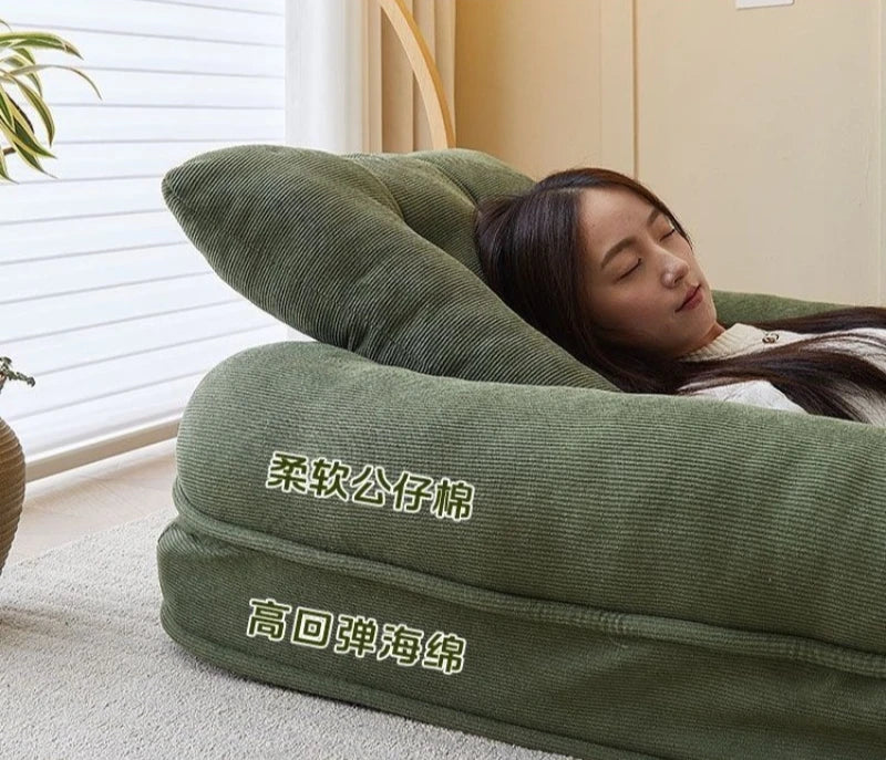 Single Pullout Sofa Bed