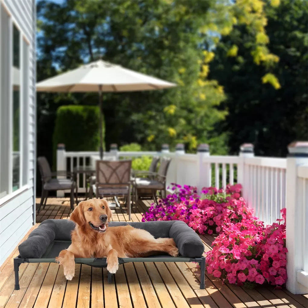 Elevated Dog Bed, Cooling Raised Pet Lounger