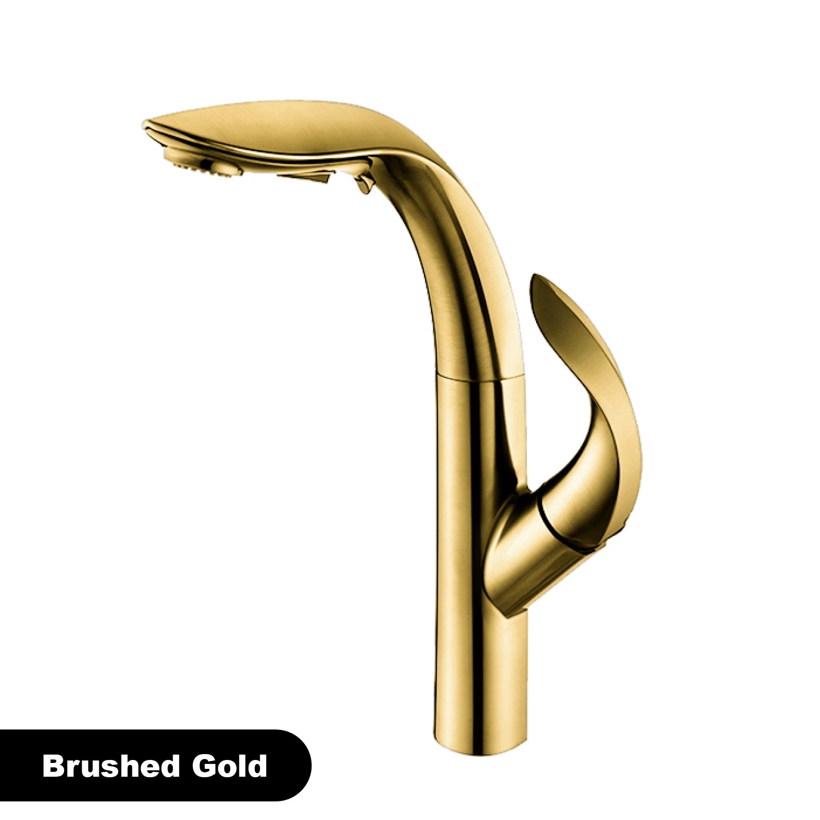 gold kitchen faucet, pull-out, 2 function Sprayer