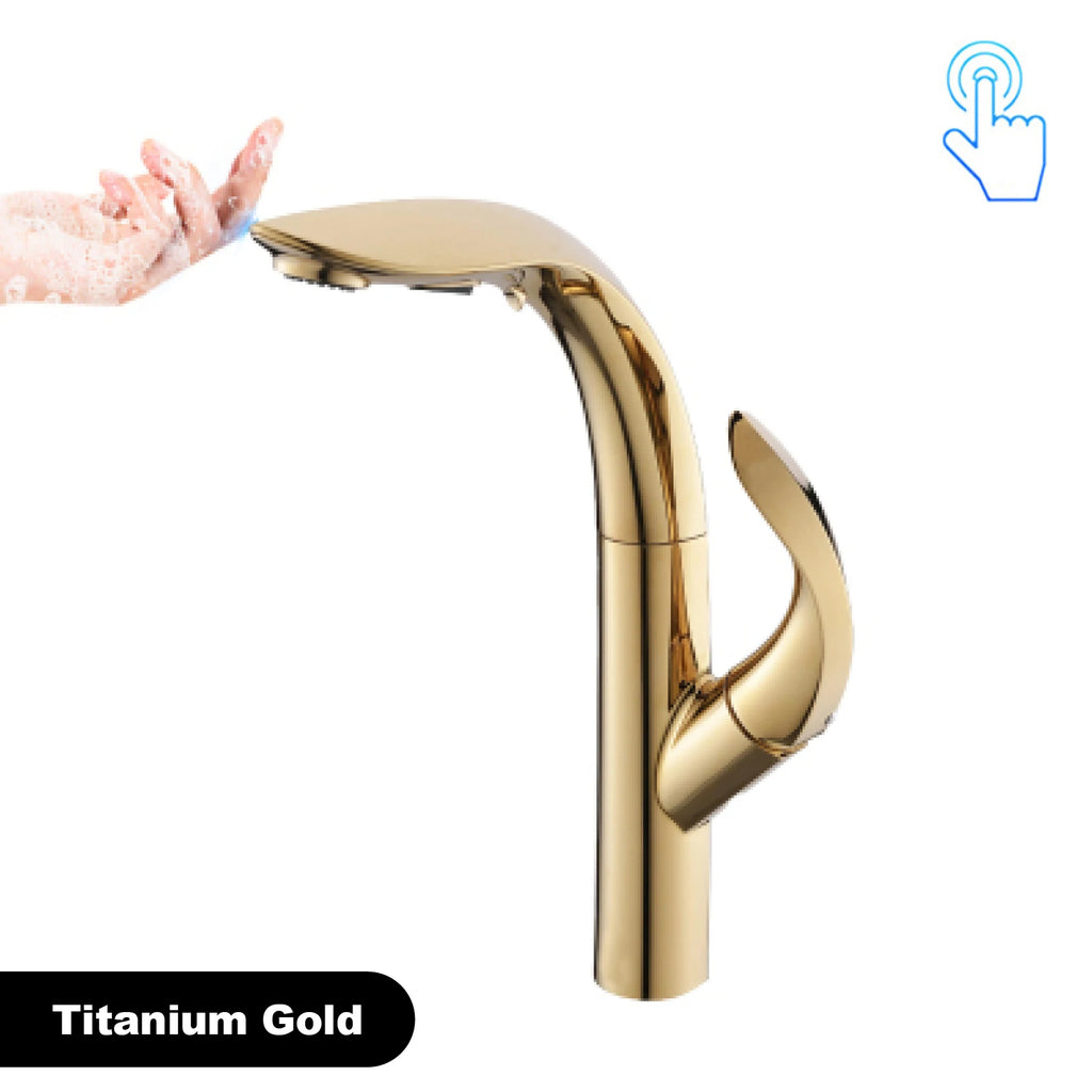 gold kitchen faucet, pull-out, 2 function Sprayer