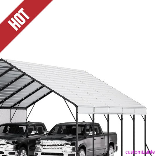 20x24 ft Metal Carport, Removable PE Sidewalls