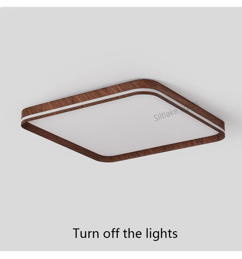 LED modern simple room light, high-end, ultra-thin