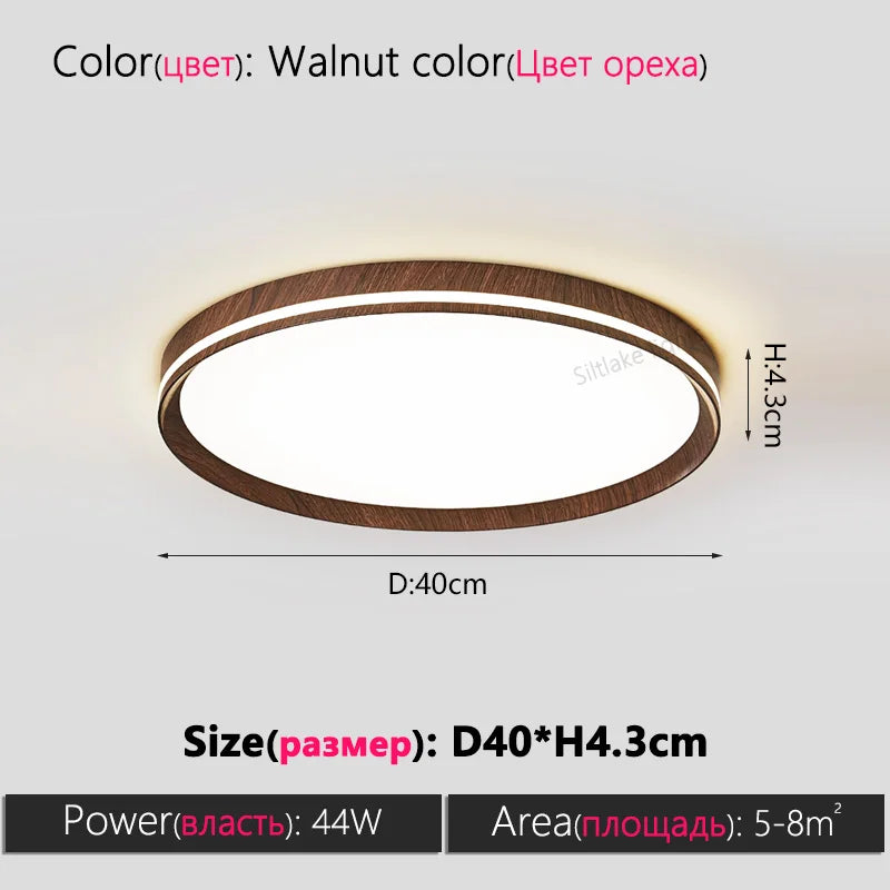 LED modern simple room light, high-end, ultra-thin