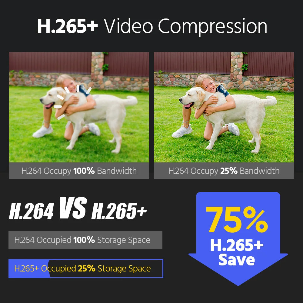 8CH NVR With 4/8 PCS security camera kit