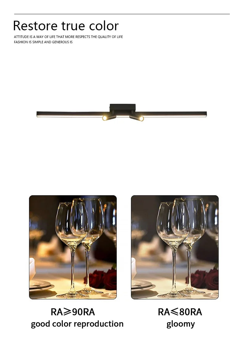 Ceiling Lamp Track Lighting, Black, White