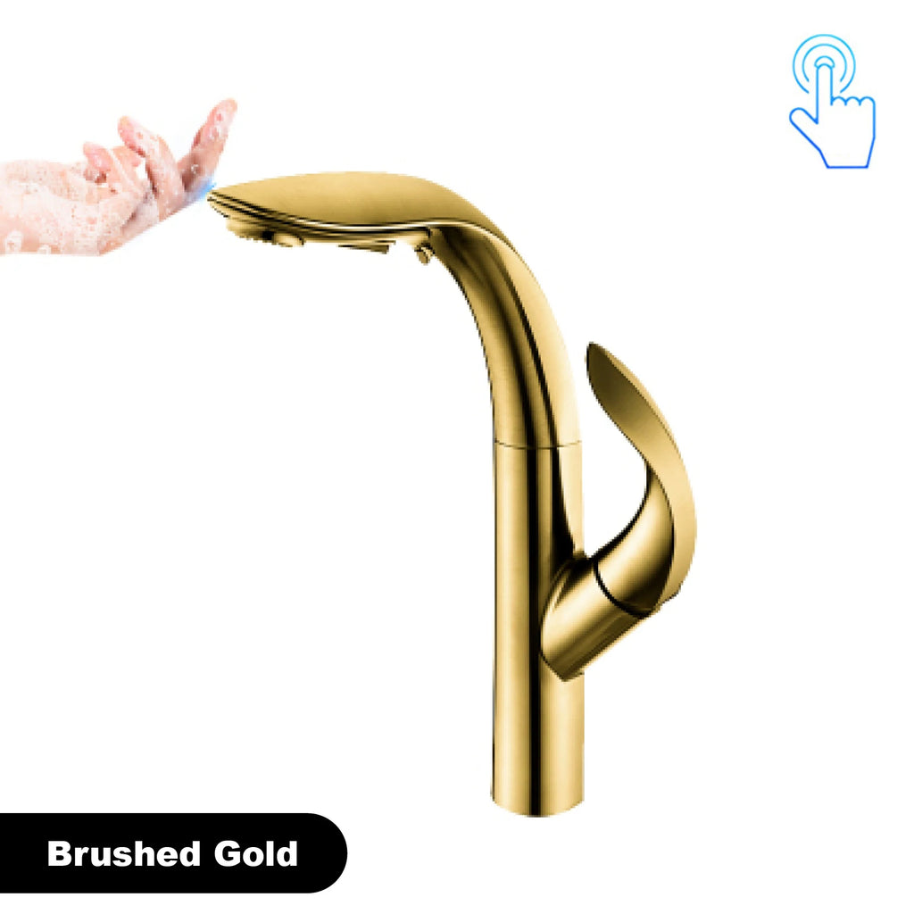 gold kitchen faucet, pull-out, 2 function Sprayer