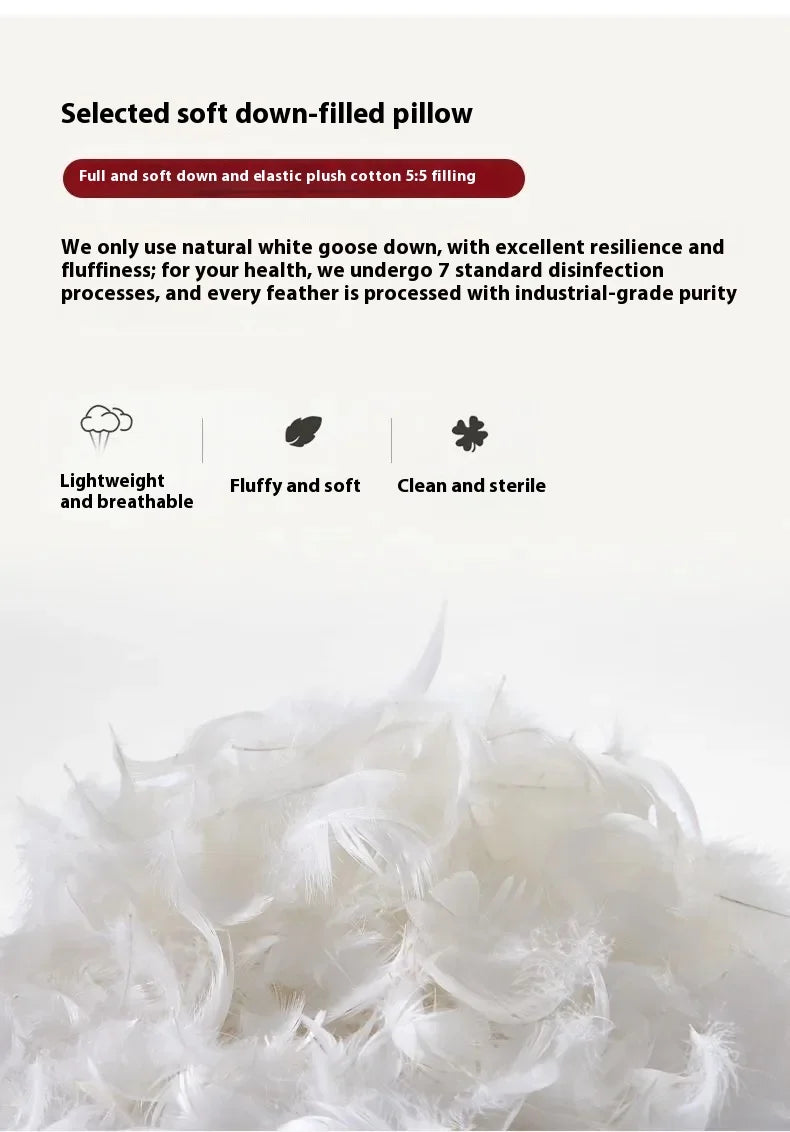 Living Room Sofas Set