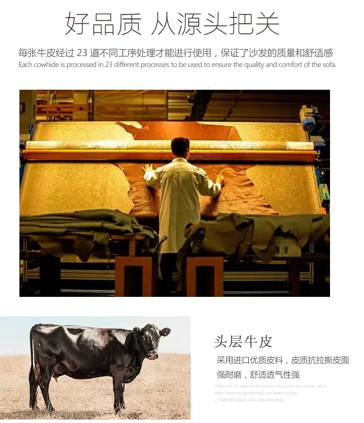 Simple Fancy Living Room Sofas, Large Gold