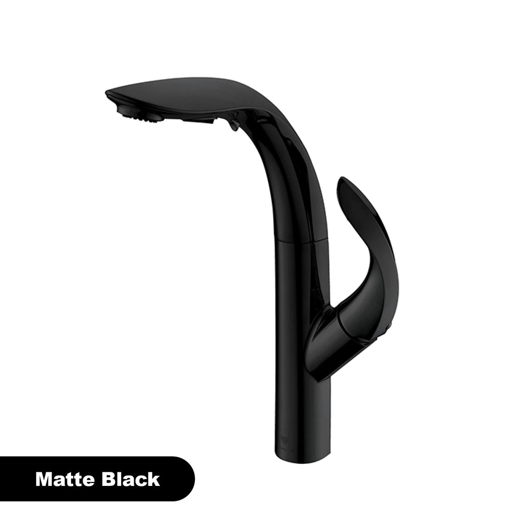 gold kitchen faucet, pull-out, 2 function Sprayer