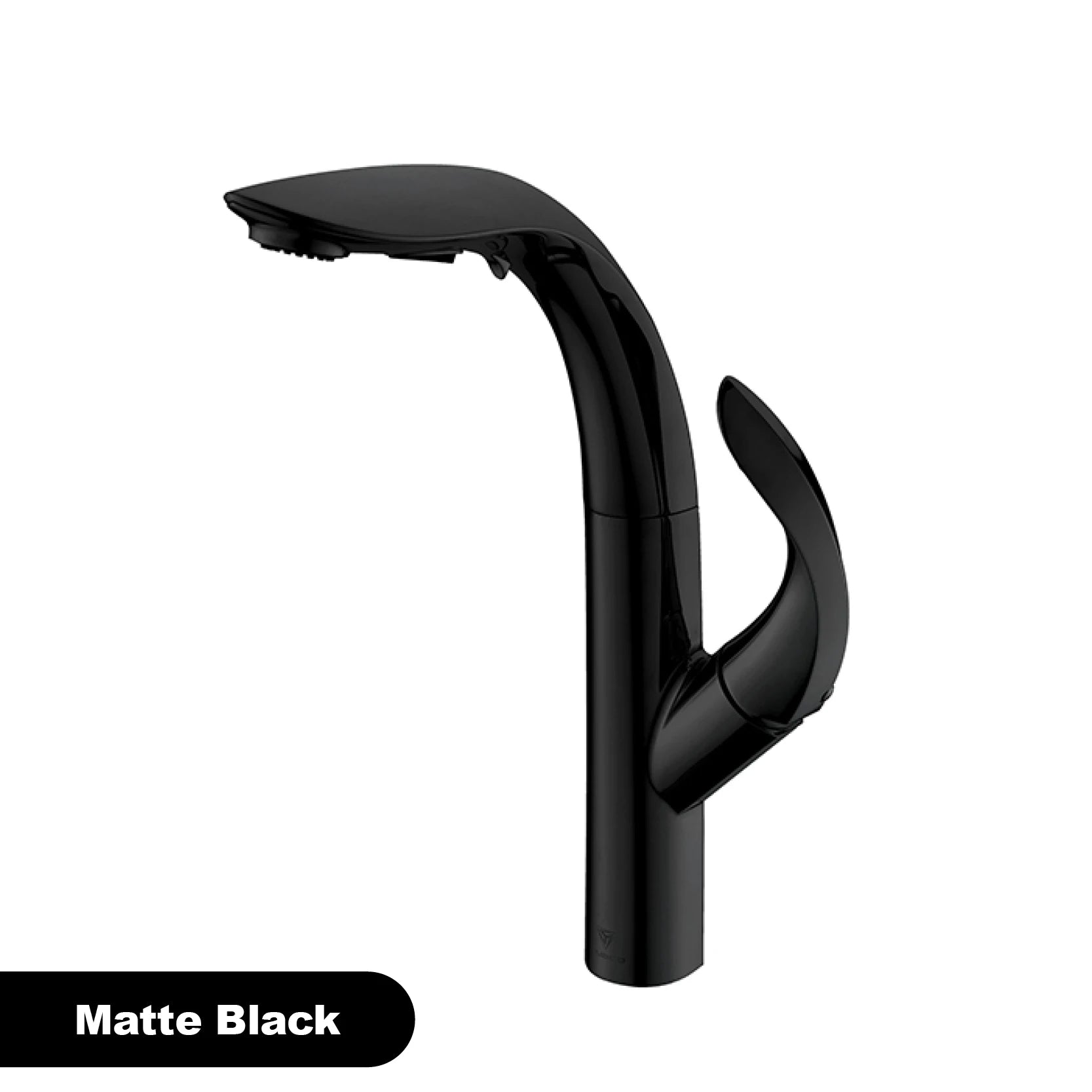 gold kitchen faucet, pull-out, 2 function Sprayer