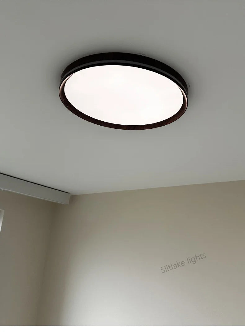 LED modern simple room light, high-end, ultra-thin