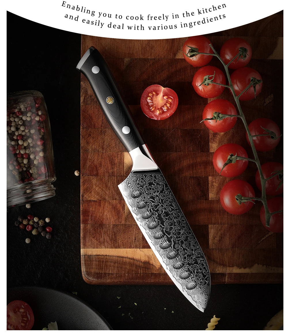 5 Inch Japanese Damascus Steel Kitchen Knife