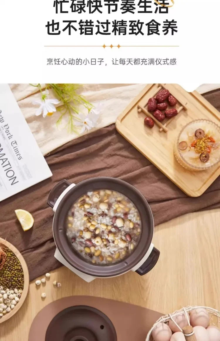 110V Electric Clay Pot Slow Cooker