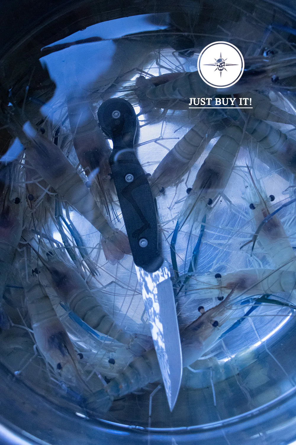 Damascus Steel, Wood Handle Fixed Blade Knife