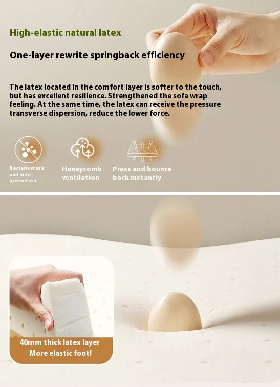 Modular Individual Sofa, Bed Convertible, Pull Out