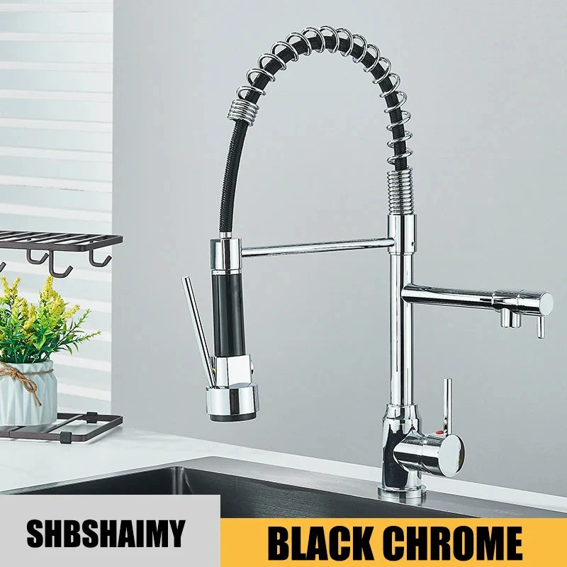 Sink Faucet Pull Down, Dual Spout