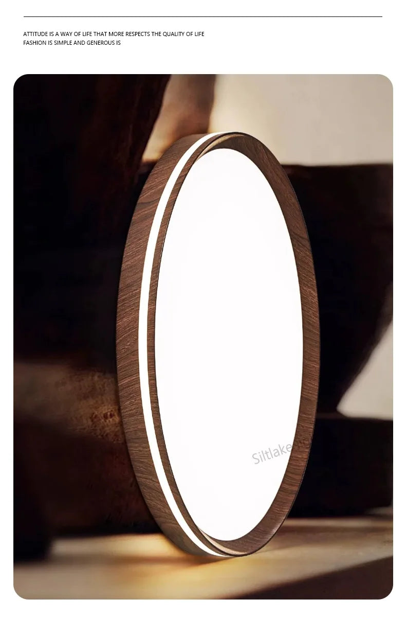 LED modern simple room light, high-end, ultra-thin