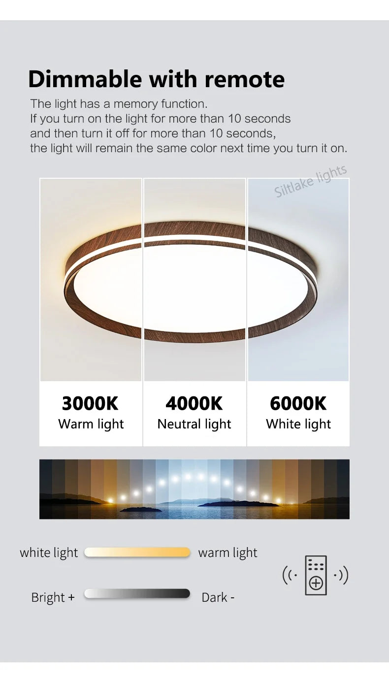LED modern simple room light, high-end, ultra-thin