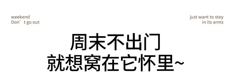 Leather Sofa Lounge Armchair Living Room Recliner