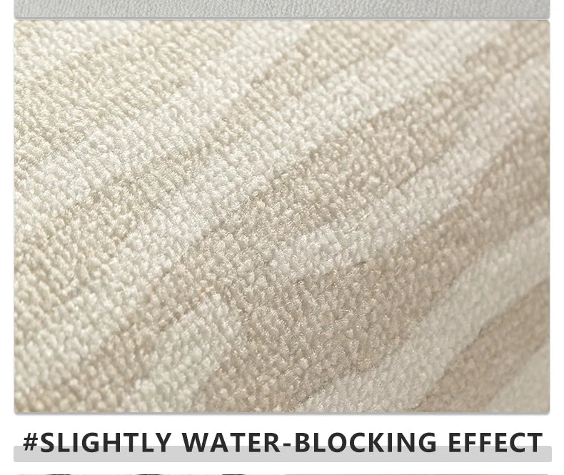 Living Room Rug, Big Size, Anti-slip