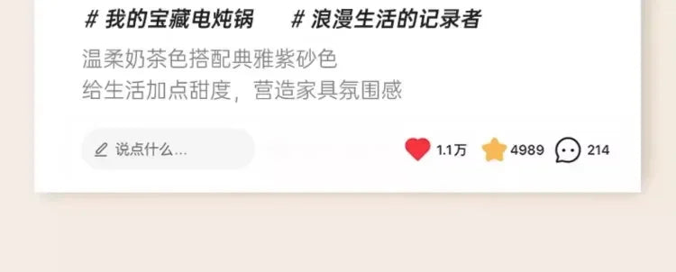 110V Electric Clay Pot Slow Cooker