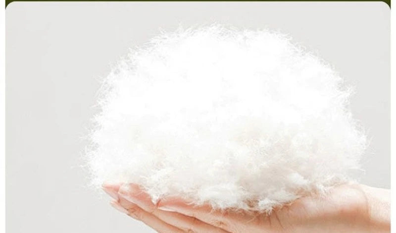 Single Pullout Sofa Bed