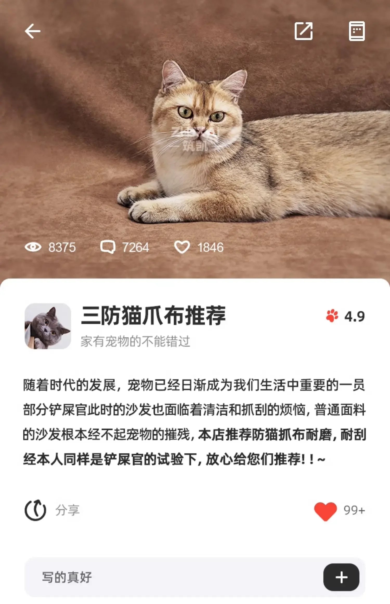 Fabric Corner Modular Living Room Sofas