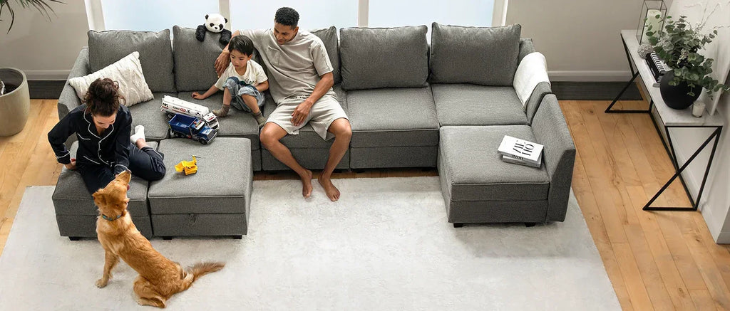 L Shaped Couch with Reversible Chaise.