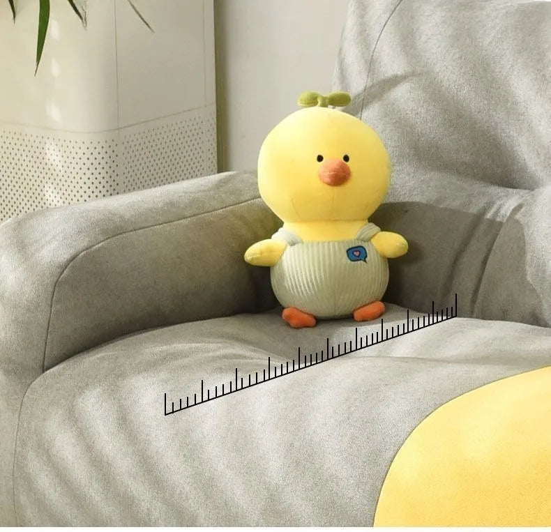 Bean Bag Sofa Removable and Washable