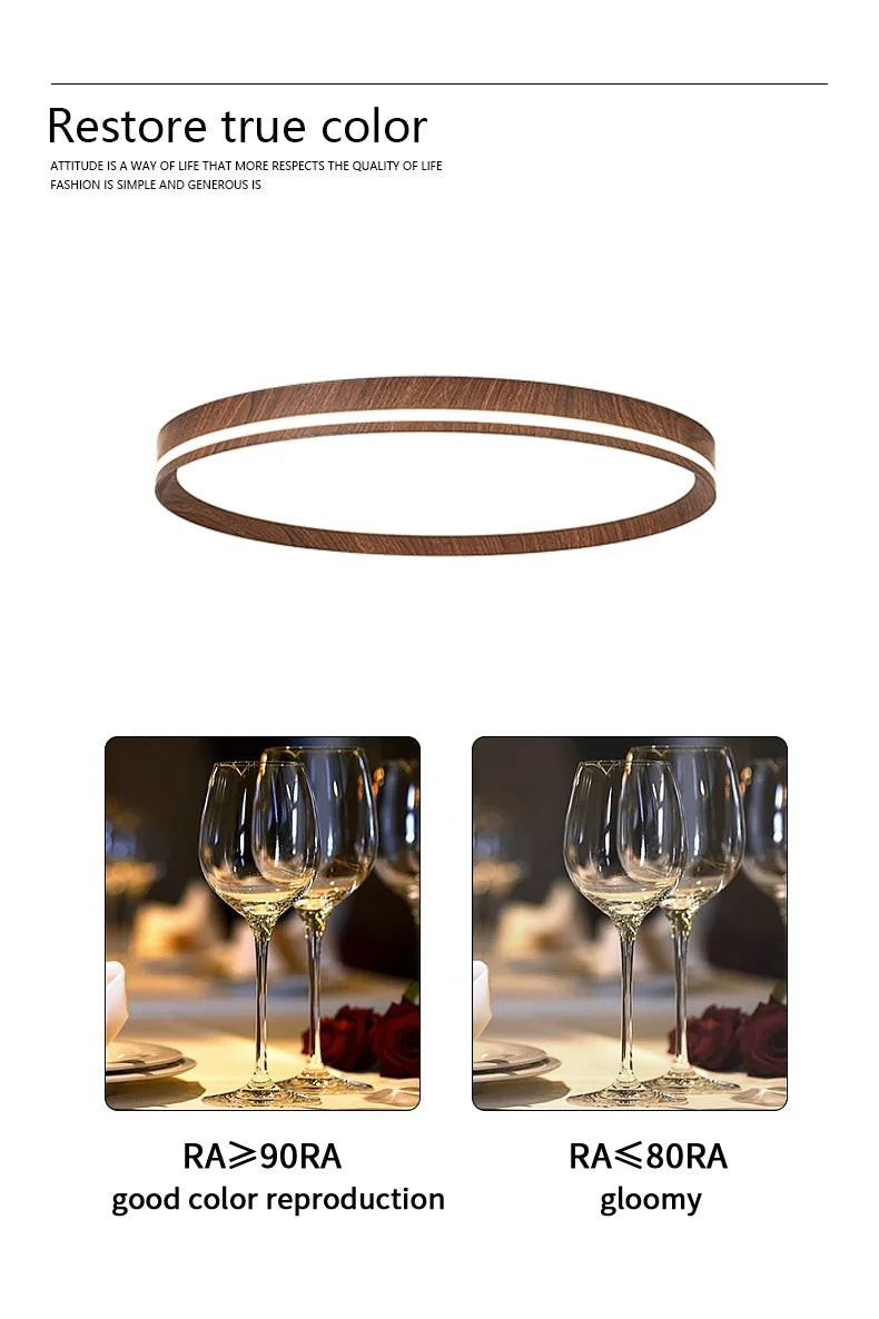 LED modern simple room light, high-end, ultra-thin