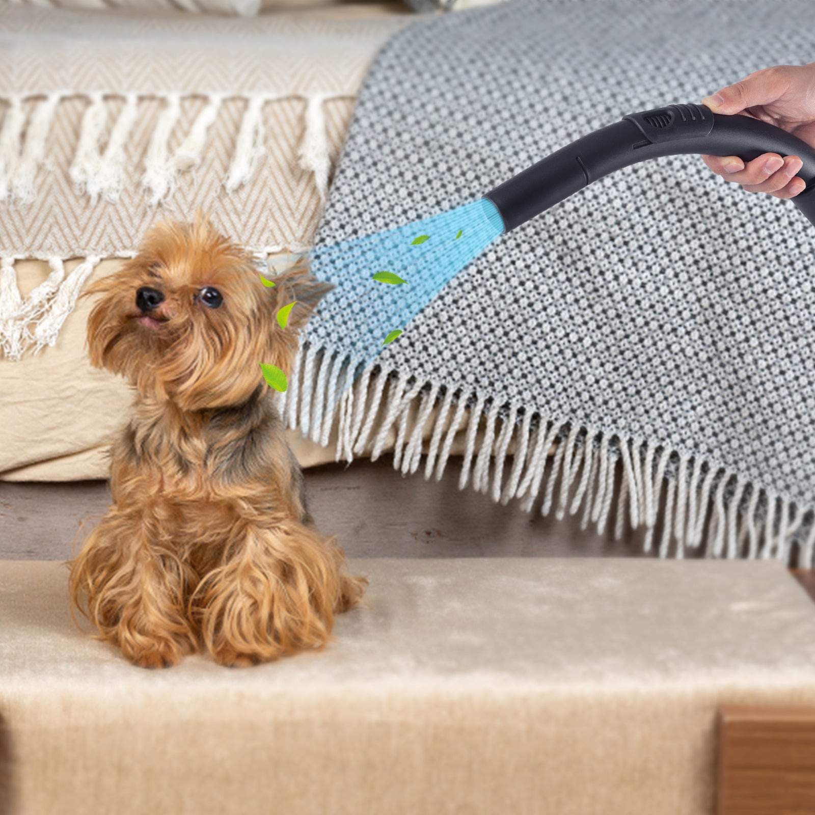 Portable Wet, Dry Vacuum Cleaner, 15L, 1200W